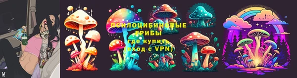 шишки Пестово