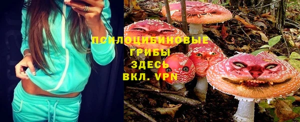 СК Беломорск