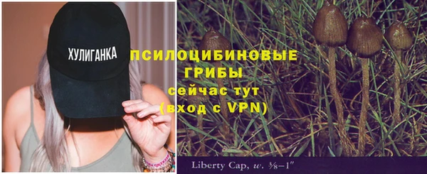 соль курить ск Белокуриха